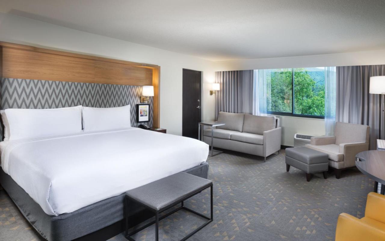 Holiday Inn Asheville East-Blue Ridge Pkwy By Ihg Extérieur photo