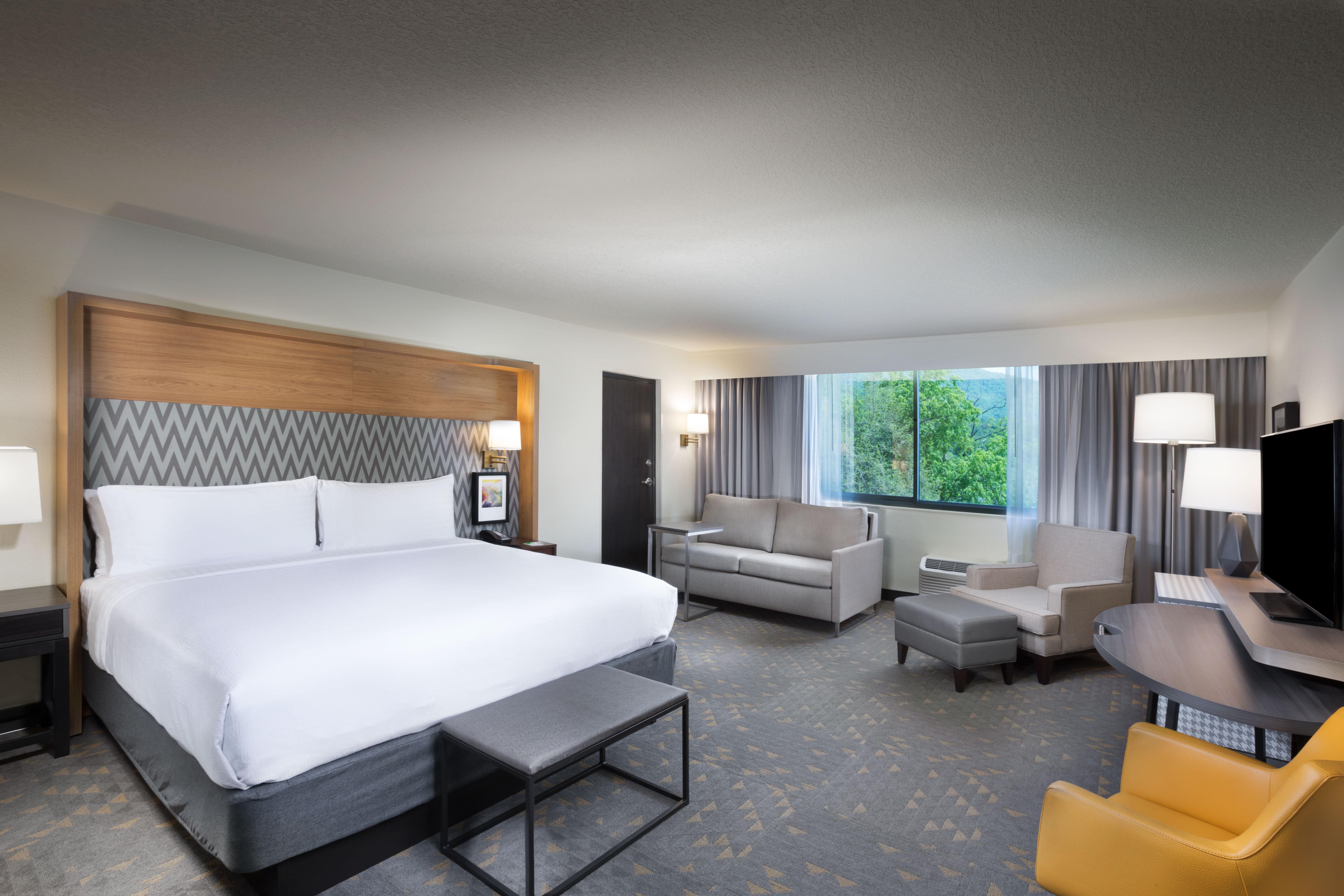 Holiday Inn Asheville East-Blue Ridge Pkwy By Ihg Extérieur photo